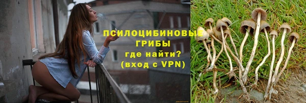 стаф Краснотурьинск