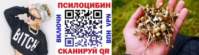 Купить закладки  Приволжский  Псилоцибиновые грибы MAGIC MUSHROOMS 