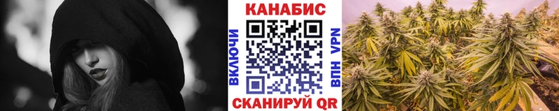 Бошки Шишки планчик  Купить где  Приволжский 